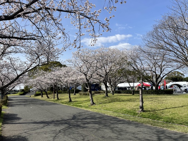 久留米百年公園にて